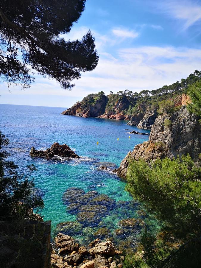 Apartamento Con Piscina L' Ancora Calella De Palafrugell Eksteriør bilde